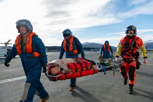 3 people carrying a dummy in a stretcher